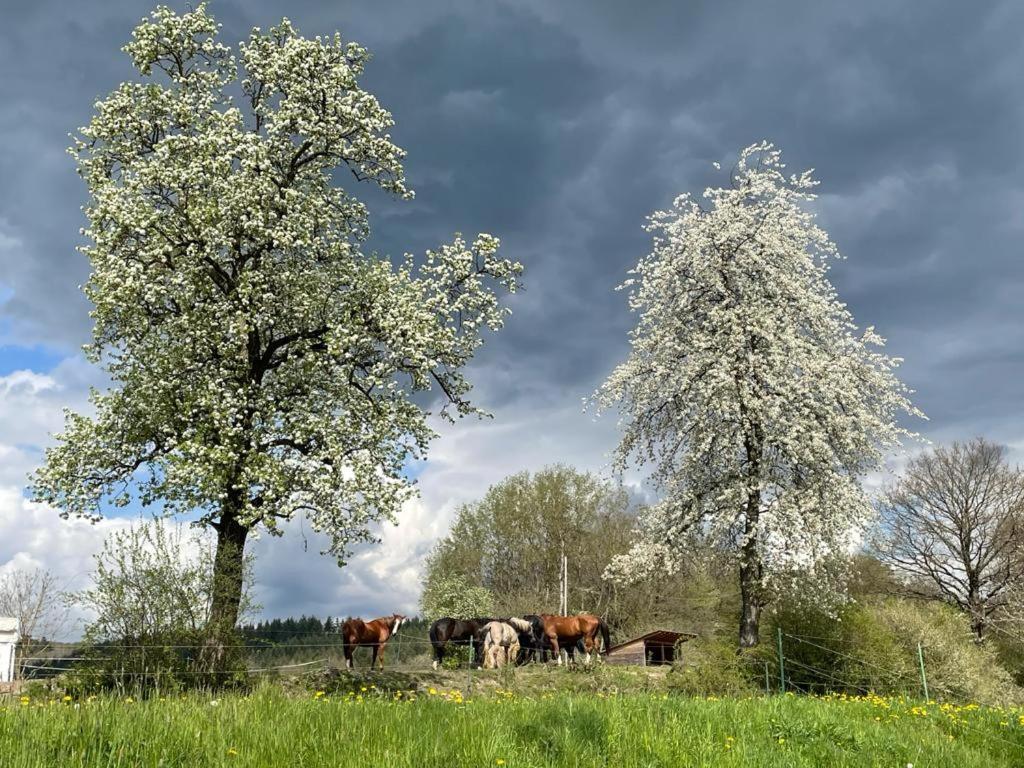 Reiterhof Fuellnhausen Lägenhet Kroge Exteriör bild